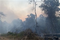 Televisión Brazil: Amazon on Fire