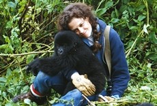Serie Dian Fossey, muerte en la niebla