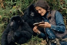 Escena de Dian Fossey, muerte en la niebla
