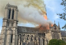 Serie Notre Dame: Reconstrucción