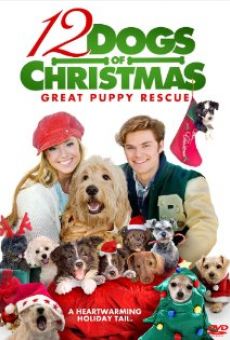 12 Dogs of Christmas: Great Puppy Rescue online kostenlos