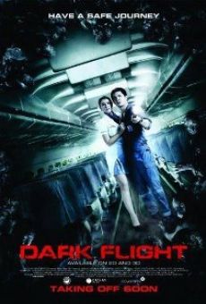 407 Dark Flight 3D