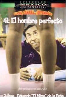 41, el hombre perfecto online streaming