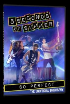 5 Seconds of Summer: So Perfect online free