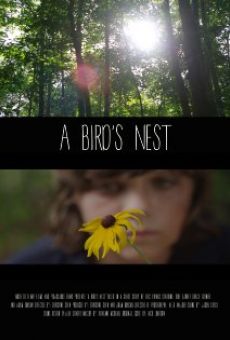 A Bird's Nest online free
