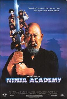 Ninja Academy online