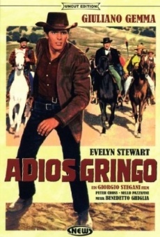 Adiós gringo (1965)