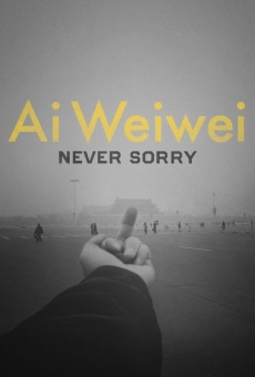 Ai Weiwei: Never Sorry online