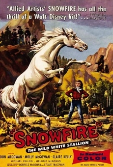 Snowfire online