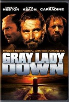 Gray Lady Down online free