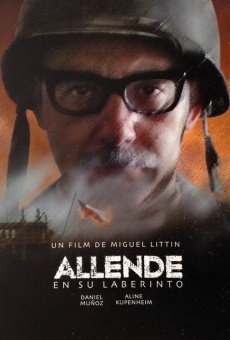 Allende en su laberinto en ligne gratuit