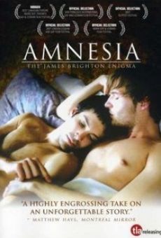 Amnesia: The James Brighton Enigma online