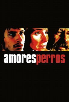 Amores perros (2000) Online - Película Completa en Español / Castellano -  FULLTV