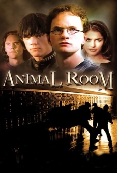 Animal Room online