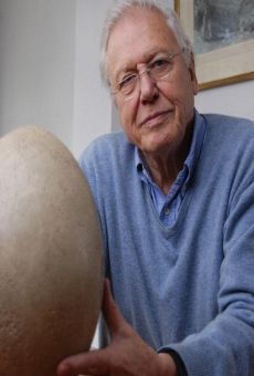 Attenborough and the Giant Egg gratis