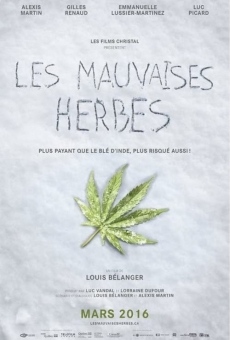 Les mauvaises herbes online free