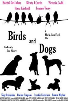Birds and Dogs kostenlos