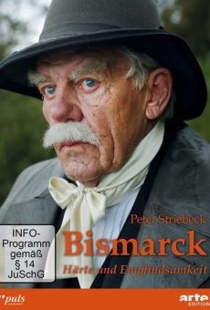 Bismarck: le dernier combat online