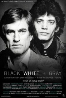 Black White + Gray: A Portrait of Sam Wagstaff and Robert Mapplethorpe online kostenlos