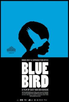 Blue Bird online kostenlos