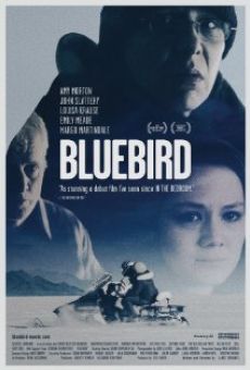 Bluebird online
