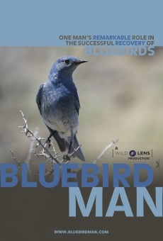 Bluebird Man online