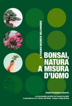 Bonsai, natura a misura d'uomo online free