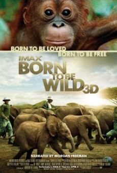 Born to Be Wild online