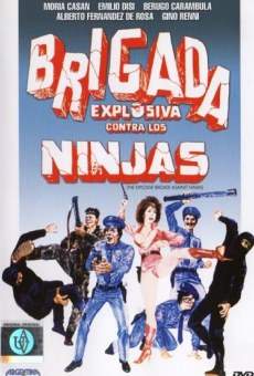 Brigada explosiva contra los ninjas online kostenlos