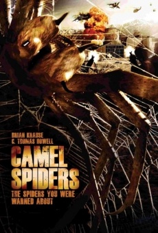 Camel Spiders online