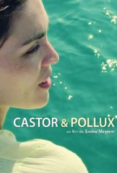 Castor & Pollux online