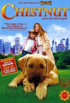 Chestnut: El héroe de Central Park, película completa en español
