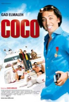 La gran fiesta de Coco (2009) Online - Película Completa en Español - FULLTV