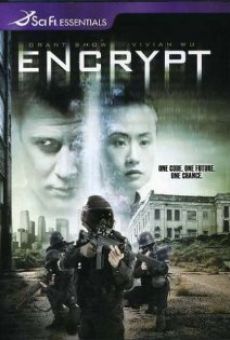 Encrypt online streaming