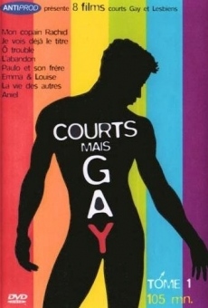 Courts mais Gay: Tome 1 gratis