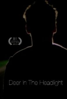 Deer in the Headlight kostenlos