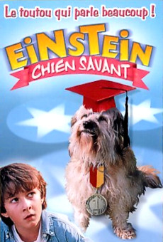 Einstein, le chien savant en ligne gratuit