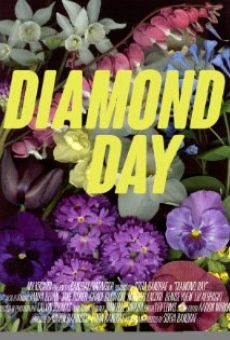 Diamond Day online kostenlos