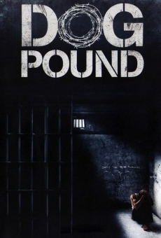 Dog Pound on-line gratuito