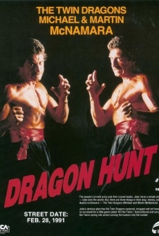 Dragon Hunt online kostenlos