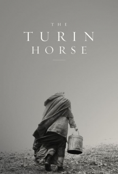 Il cavallo di Torino online