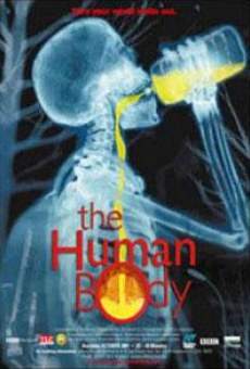 The Human Body online