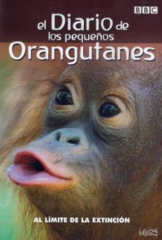The Diary of Young Orangutans online kostenlos