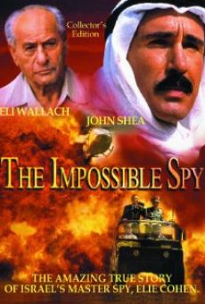 The Impossible Spy online free
