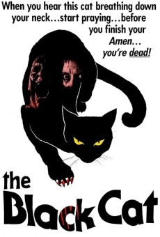 Black Cat: Gatto nero online