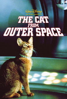 Die Katze aus dem Weltraum