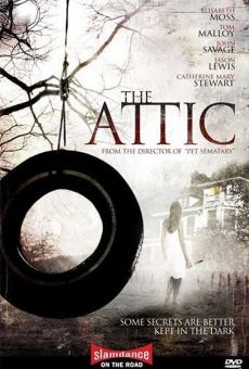 The Attic online