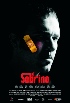 El sobrino online streaming