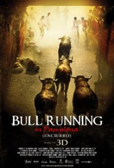 Encierro 3D: Bull Running in Pamplona online kostenlos