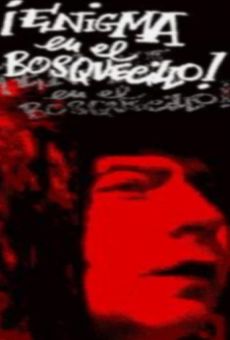 ¡Enigma en el bosquecillo! kostenlos